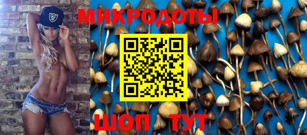 Галлюциногенные грибы GOLDEN TEACHER Тольятти